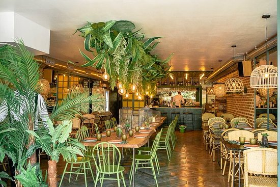 Restaurante de éxito. Restaurante con una decoración vegetal y modernista.